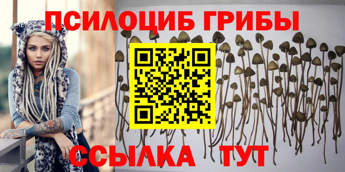 Галлюциногенные грибы Cubensis Севастополь