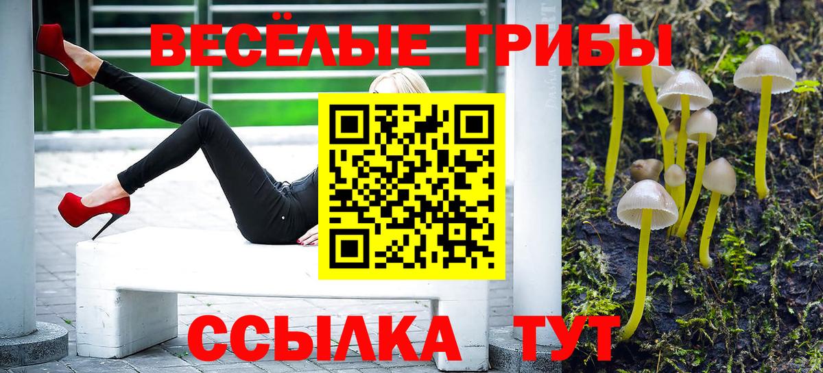 Псилоцибиновые грибы Cubensis  Псилоцибиновые грибы Magic Shrooms  Вход с VPN  купить закладку  Севастополь 